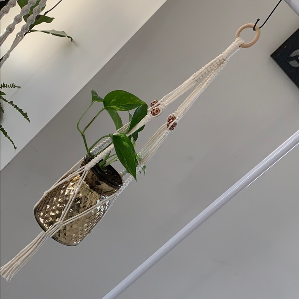 Macrame plant hanger